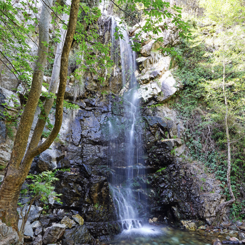 Screenshot 2023-12-01 at 5.22.27 PM